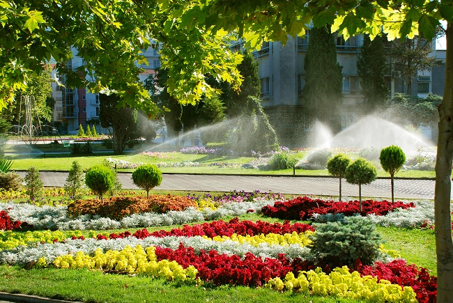 Arlington Commercial Landscaping & Maintenance