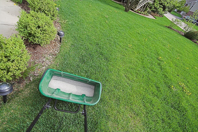 Lawn Care In Athens Ga