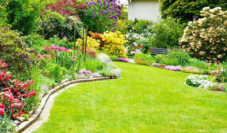 3 Reasons To Hire A Professional For Commercial Landscape Design