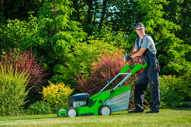 Why Paying for Commercial Lawn Maintenance Makes Sense