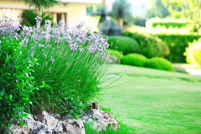 Three Benefits of Commercial Property Landscaping Updates