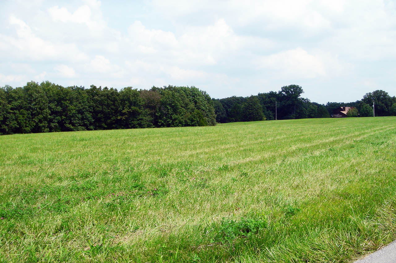 Tractor Mowing and Pasture Management