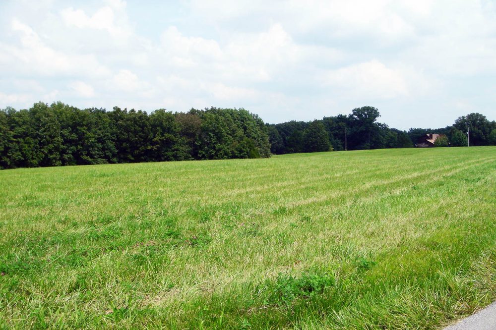 Tractor Mowing for Large Spaces and Long Neglected Lots