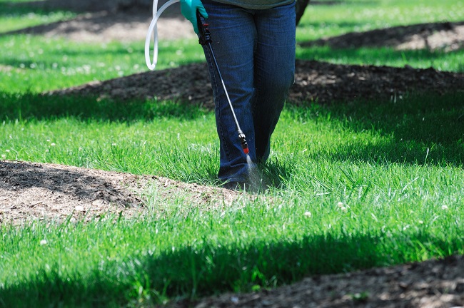 Commercial Lawn Maintenance Services You Should Consider