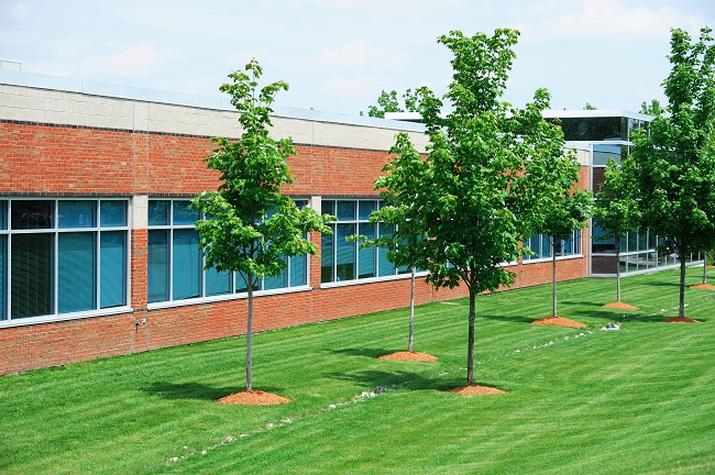 Beautify Your Parking Lot with Commercial Landscape Design