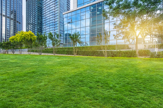 Find Excellent Commercial Landscaping in Dallas