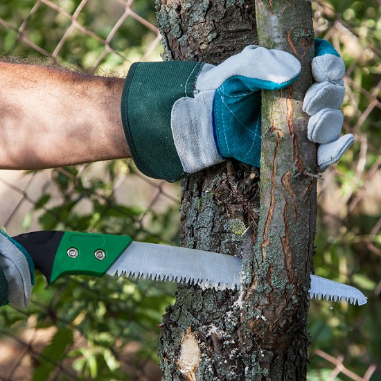 Why Tree Pruning is Important for Commercial Properties