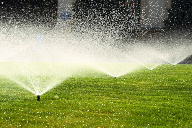 Why You Should Always Hire A Professional For Commercial Lawn Maintenance