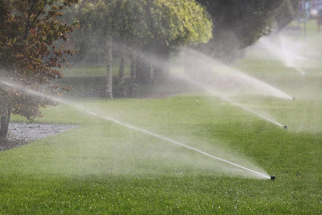 Proper Watering for Your Commercial Landscape