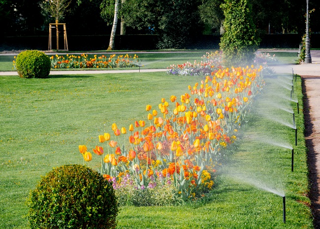 Why You Should Hire a Professional for Commercial Irrigation