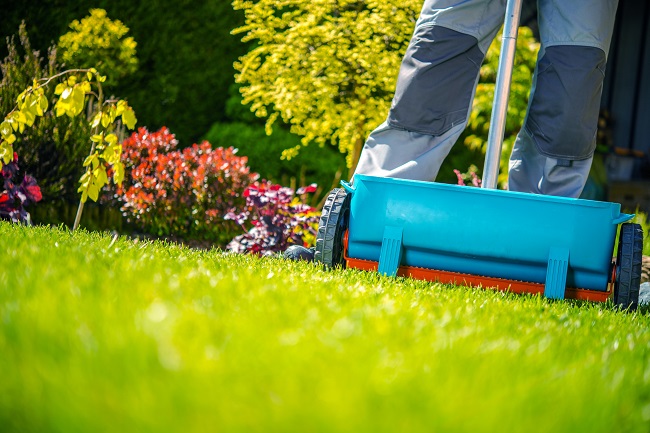 3 Things A Professional Fertilization/Chemical Program Will Do For Your Lawn