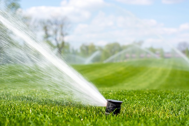 The Importance of Proper Irrigation for Your Commercial Landscape