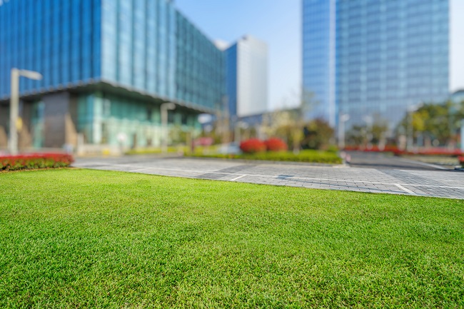 Overlooked Benefits Of Commercial Landscape Design