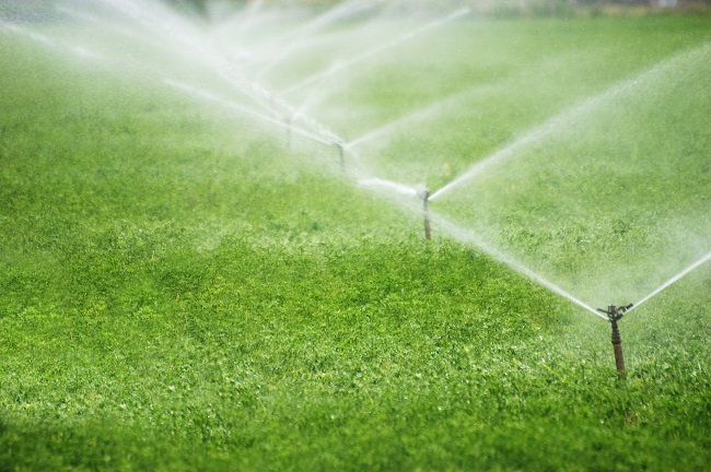 How a Smart Irrigation System Saves You Money