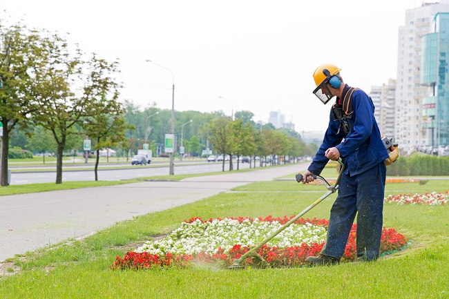 Readying Your Commercial Landscaping for Summer