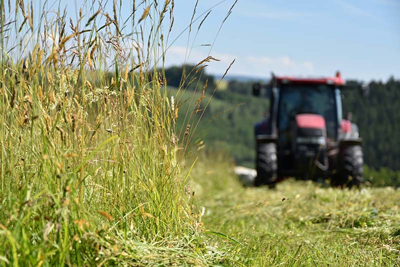 Why Tractor Mowing Is An Excellent Option For Commercial Locations