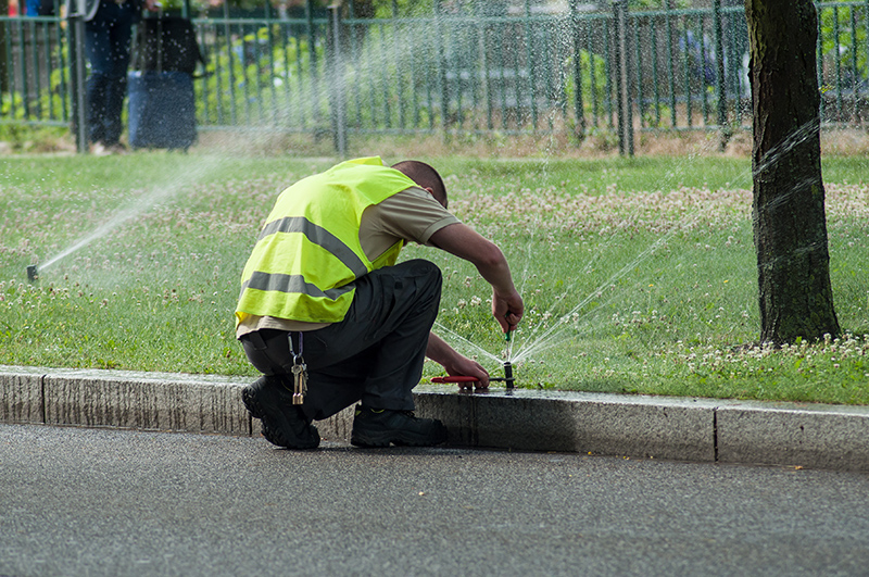 3 Ways A Professional Can Help You With Your Commercial Irrigation