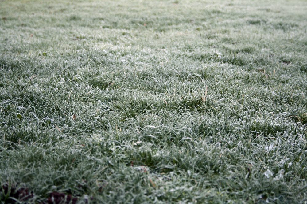  3 Important Winter Lawn Care Tips