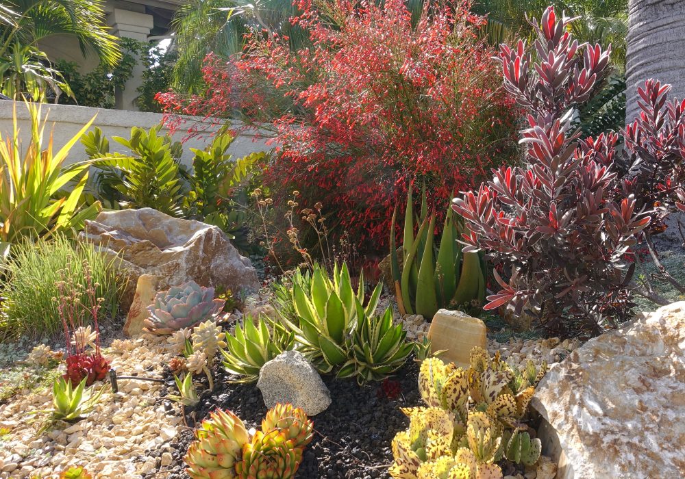 Cultivating a Brighter Future: The Benefits of Sustainable Landscaping for Your Commercial Oasis