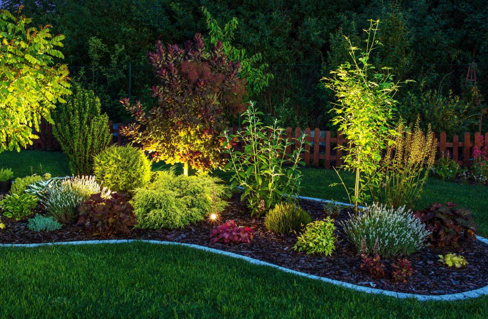 The Role of Lighting in Commercial Landscape Design