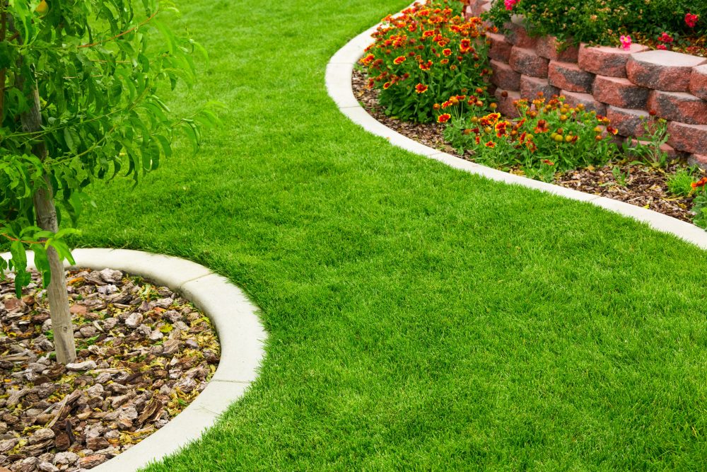 outdoor spaces outdoor spaces