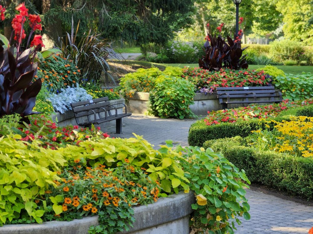 Landscape Maintenance Landscape Maintenance
