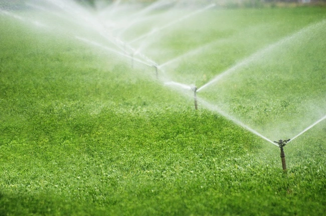 Irrigation Installation & Repairs